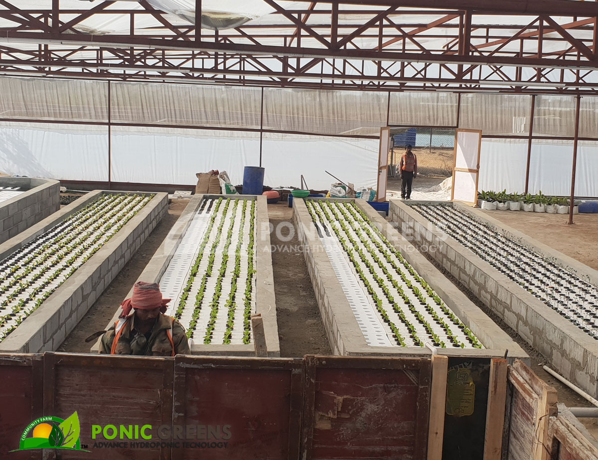 Suspendisse tempor iaculis leo